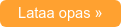 Lataa opas »