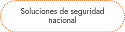 Soluciones de seguridad nacional