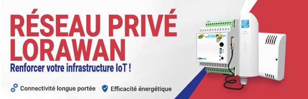 Découvrez le réseau privé LoRaWAN : La solution pour renforcer votre infrastructure IoT !