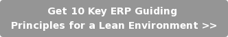 Get 10 Key ERP Guiding  Principles for a Lean Environment >>