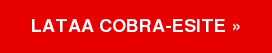 Lataa COBRA-esite&nbsp;»