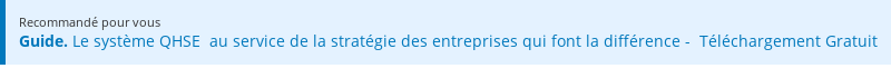 Recommandé pour vous  Guide. Le système QHSE  au service de la stratégie des entreprises qui font la  différence -  Téléchargement Gratuit