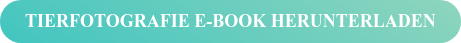 Tierfotografie E-Book herunterladen