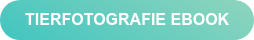 TIERFOTOGRAFIE EBOOK