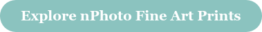 Explore nPhoto Fine Art Prints