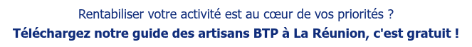 Rentabiliser votre activité est au cœur de vos priorités ? Téléchargez notre guide des artisans BTP à La Réunion, c'est gratuit !