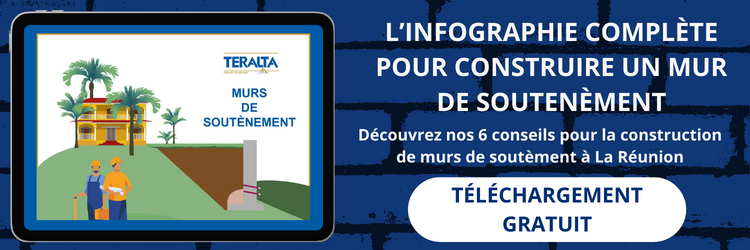 Téléchargez gratuitement l'infographie des murs de soutènement à La Réunion