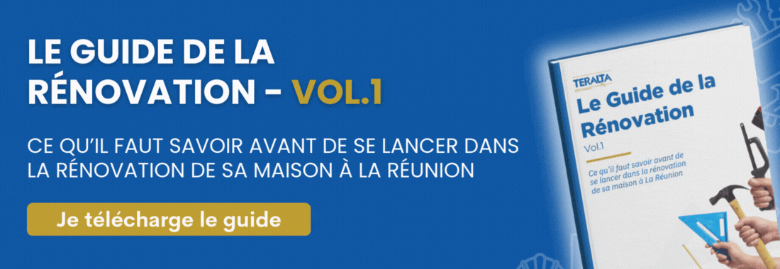 Le guide de la rénovation volume 1
