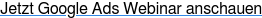 Jetzt Google Ads Webinar anschauen