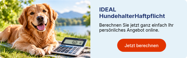 hund_bild_aus_banner_ohne_rand