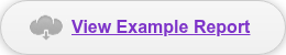 View Example Report