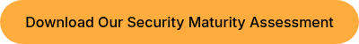 <div>Download Our Security Maturity Assessment</div>