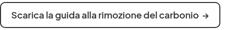 <span style="font-size: 18px;">Scarica la guida alla rimozione del carbonio&nbsp; →</span>