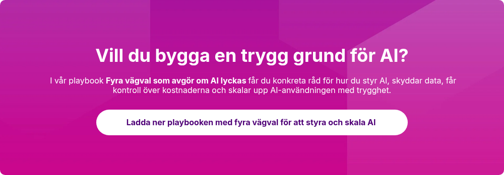 Vill du bygga en trygg grund för AI?
