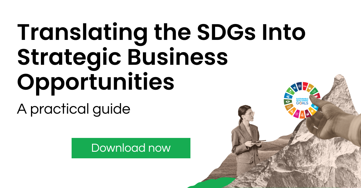 ebook: translating the SDGs into business opportunities