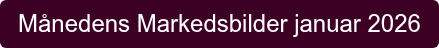 Månedens Markedsbilder januar 2026
