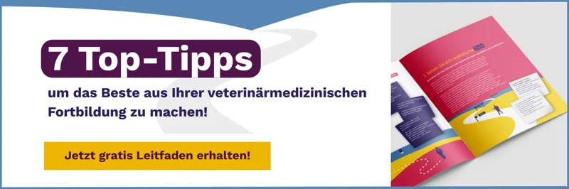 Kopie von IVE_Newsletter_CoursesHeader_Template (7)