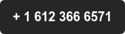 + 1 612 366 6571