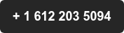 + 1 612 203 5094