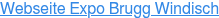 Webseite Expo Brugg Windisch