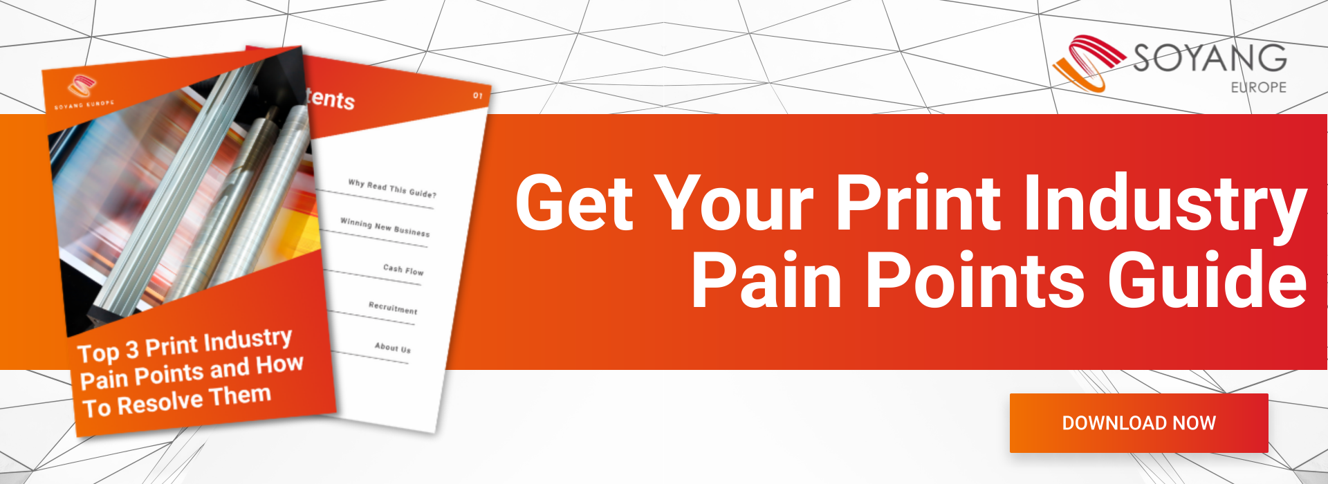 Get Your Print Industry Pain Points Guide