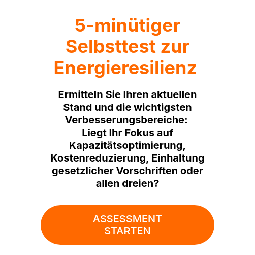 5-minütiger Selbsttest zur Energieresilienz&nbsp;