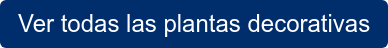 Ver todas las plantas decorativas