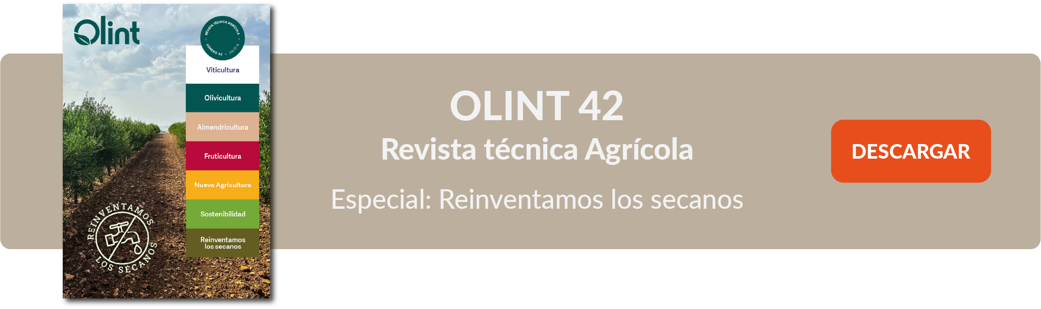 Olint 42