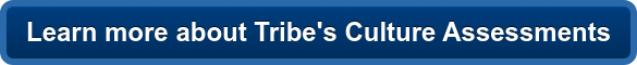 Learn more about Tribe's Culture Assessments