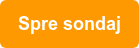 Spre sondaj