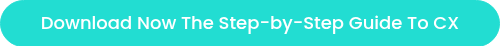 Download Now The Step-by-Step Guide To CX