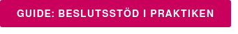 Guide: Beslutsstöd i praktiken