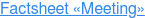 Factsheet «Meeting»