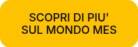 SCOPRI DI PIU' SUL MONDO MES