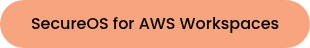 SecureOS&nbsp;for AWS Workspaces