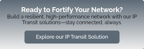 Ready to Fortify Your Network? Build a resilient, high-performance network with our IP Transit solutions—stay connected, always.  