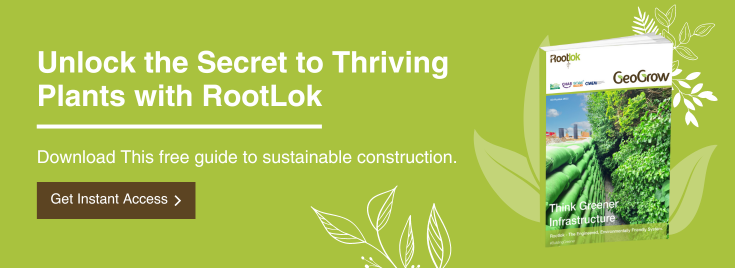 Unlock the Secret to Thriving Plants with RootLok