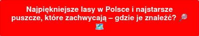 <div>
<div>
<div>
<p>Najpiękniejsze lasy w Polsce i najstarsze puszcze, które zachwycają – gdzie je znaleźć? ����️</p>
</div>
</div>
</div>