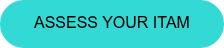 Assess your ITAM