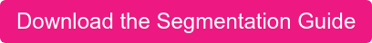 Download the Segmentation Guide