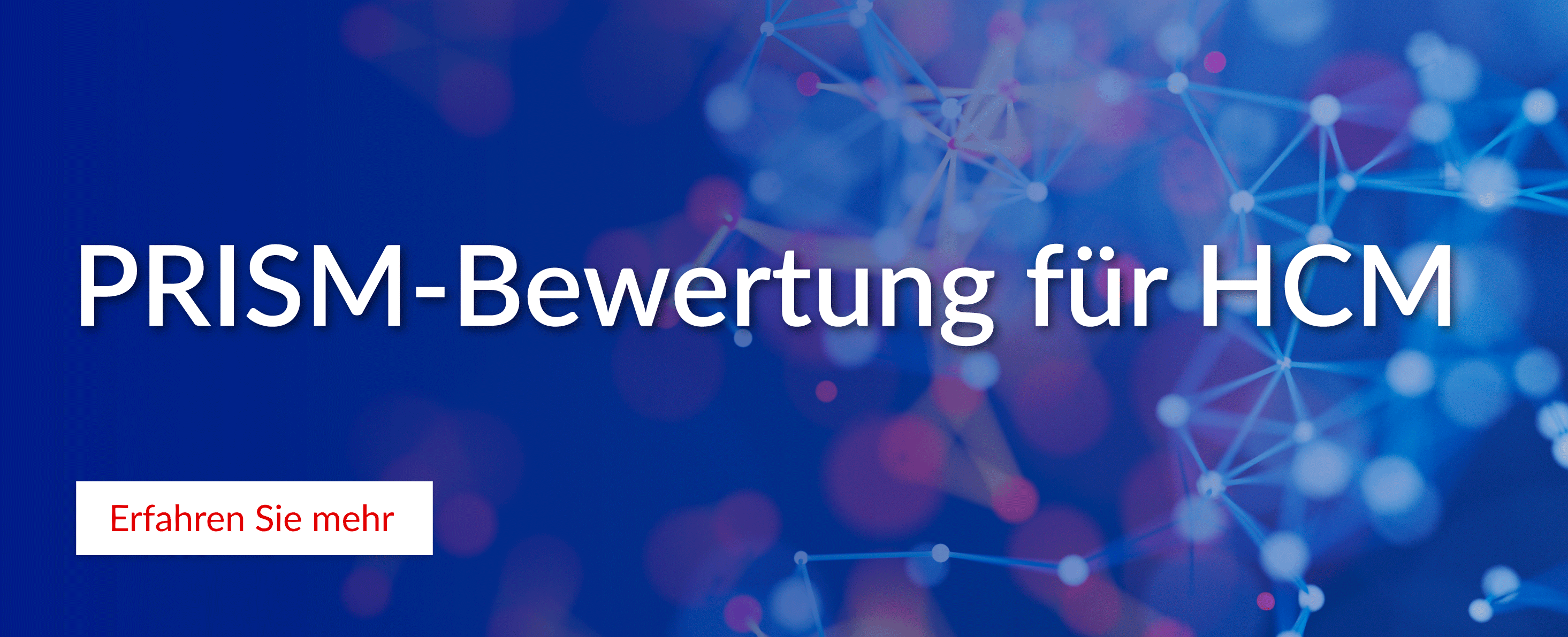 PRISM-Bewertung für HCM