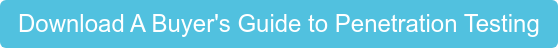 Download A Buyer's Guide to Penetration Testing