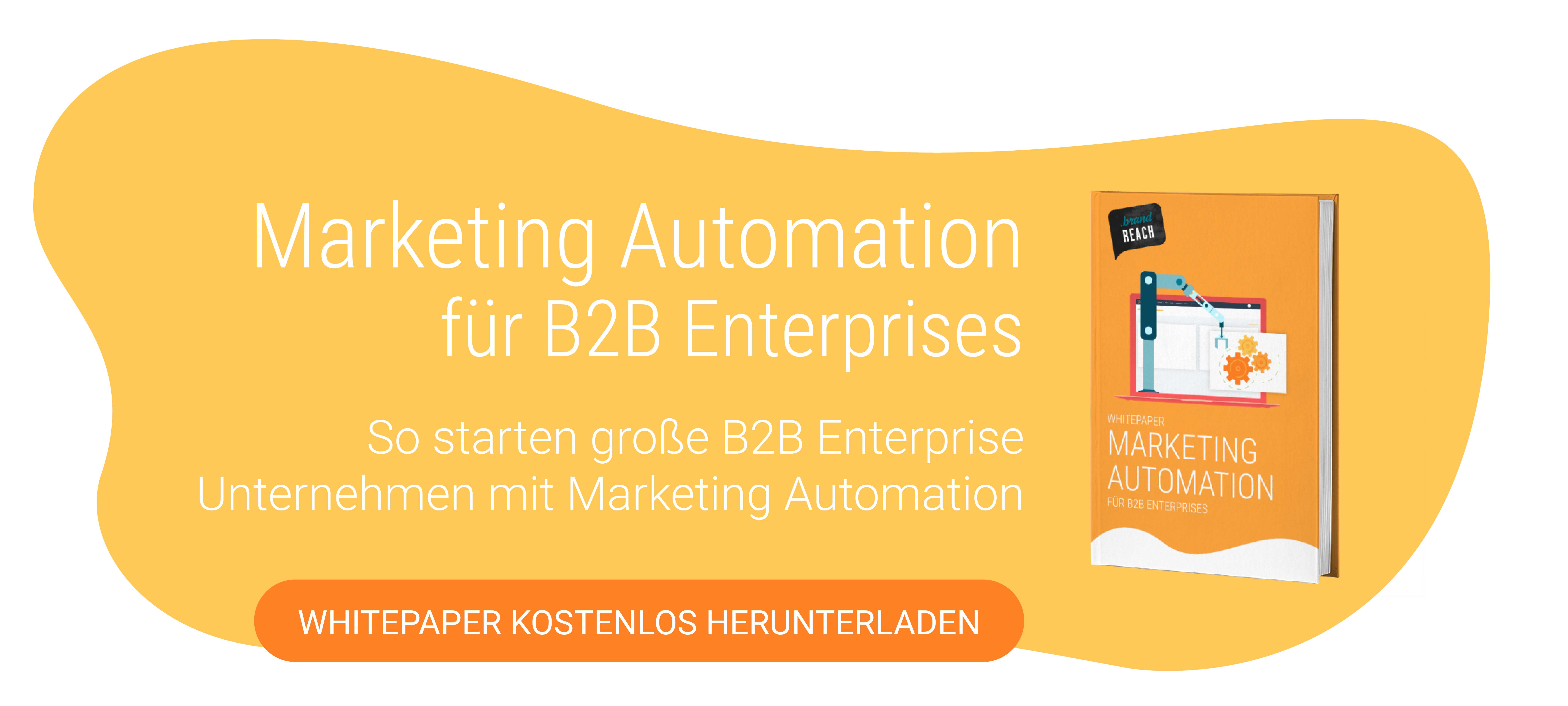 Marketing Automation für B2B Enterprises Whitepaper Download
