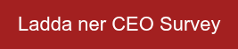 Ladda ner CEO Survey