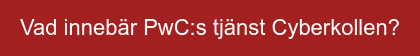 Vad innebär PwC:s tjänst Cyberkollen?