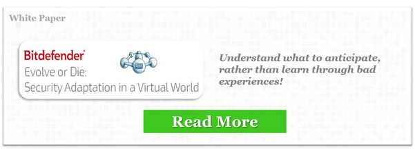 White Paper "Evolve or Die: Security Adaptation in a Virtual World"