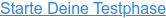 Starte Deine Testphase