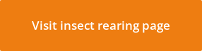 Visit insect rearing page