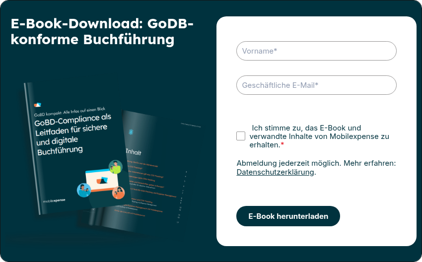 E-Book-Download: GoDB-konforme Buchführung
