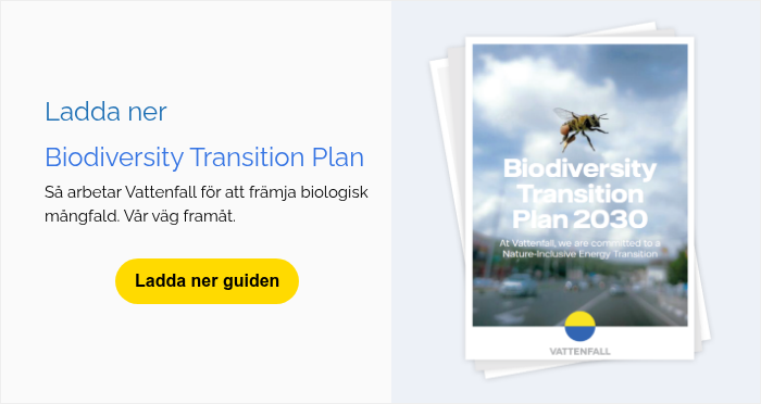 Ladda ner Biodiversity Transition Plan Så arbetar Vattenfall för att främja biologisk mångfald. Vår väg framåt.  